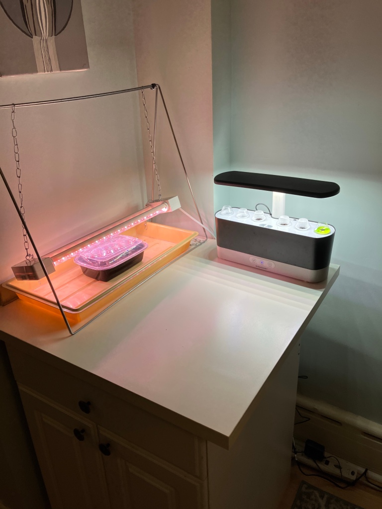 An aerogarden and a tray and grow lights for seed starting sit on a white counter in the corner of a room. 